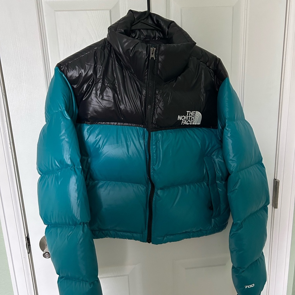 The North Face Black and Teal Jacket
